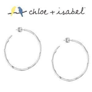 🆕Exclusive💛 Branch Hoops SILVER c+i FE2/E526MESS